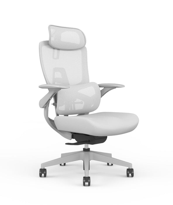 Skyland Executive Office chair CH 980 grey Treejar