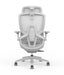 Skyland Executive Office chair CH 980 grey Treejar