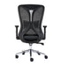 SkyLand Workstation Chair CH 250 M black Treejar