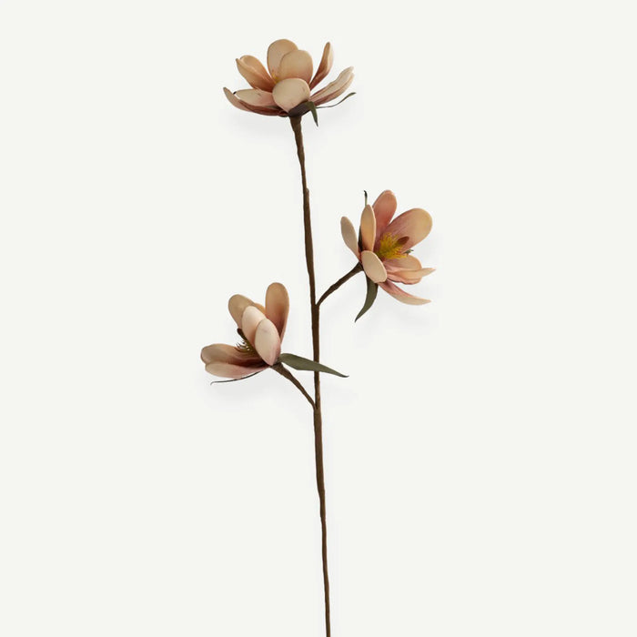 Tulip Flower - Pink