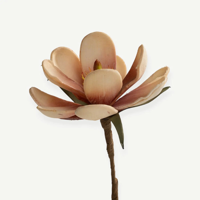 Tulip Flower - Pink